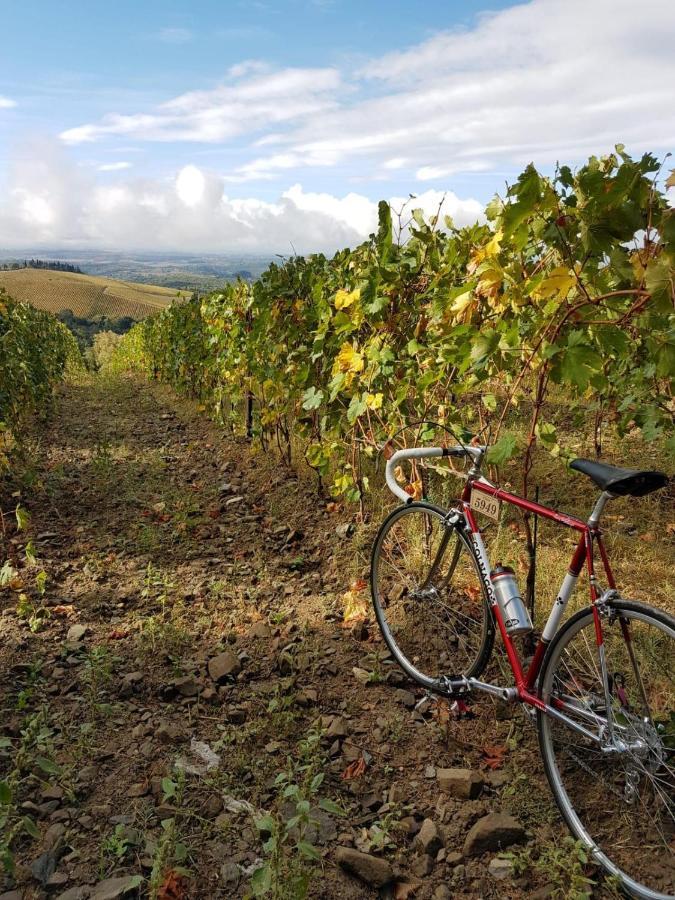 "La Casa Di Maria Luce" Con Terrazza Panoramica Gaiole in Chianti Exterior foto